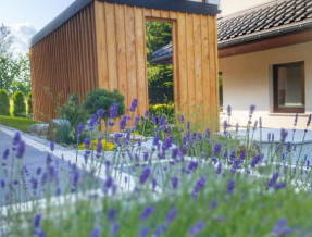 Miodomki  w miejscowości Brenna