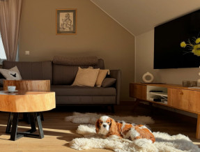 Owcza Górka Apartamenty  w miejscowości Jaworzynka