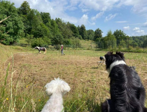 Z głową w chmurach  w miejscowości Zawoja