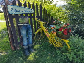 Z głową w chmurach  w miejscowości Zawoja