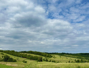 Agroturystyka Pod Lasem obok Zwierzyńca  w miejscowości Zwierzyniec