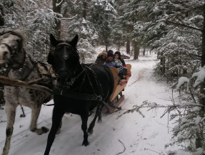 Agroturystyka Pod Lasem obok Zwierzyńca  w miejscowości Zwierzyniec