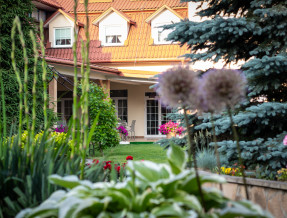 Wellness&Spa "W Krainie Alicji"  w miejscowości Nałęczów