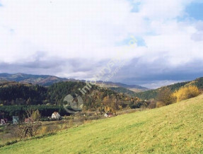 Dom Wypoczynkowy Beskid w miejscowości Piwniczna-Zdrój