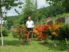 Zajazd U Rzeźbiarza w miejscowości Barcice