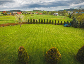 Agrozacisze  w miejscowości Zubrzyca Górna