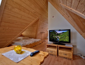 Apartamenty z kominkiem FORSTER HOUSE Zakopane w miejscowości Zakopane