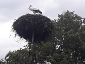 JURANDÓWKA - całoroczny dom nad samym jeziorem w Spychowie  w miejscowości Spychowo