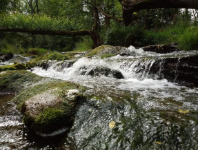 Pokoje Gościnne JASIONKA  w miejscowości Ustrzyki Dolne