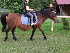 Folwark na Końcu Świata/Jazdy konne  w miejscowości Daszówka