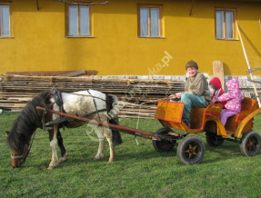 Gospodarstwo KAROLINA w miejscowości Maniowy