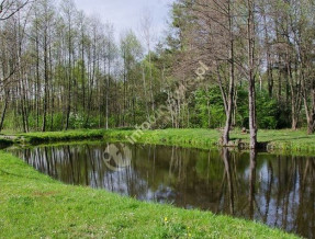 Agroturystyka POD LIPAMI  w miejscowości Siedliska