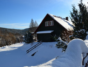 Zielony Domek Bieszczady w miejscowości Cisna