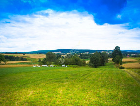 Agroturystyka  - Halina Kot  w miejscowości Bieliny