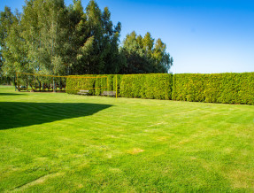 Gospodarstwo Agroturystyczne TREPKOWO  w miejscowości Tarczek