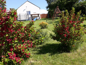 Agroturystyka Skrzeczówka w miejscowości Krajno