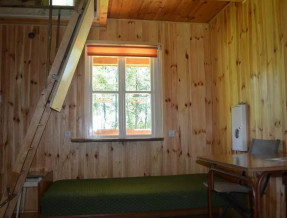 Domki Sasek Mazury  w miejscowości Sasek