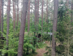 Domki Sasek Mazury  w miejscowości Sasek