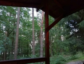 Domki Sasek Mazury  w miejscowości Sasek