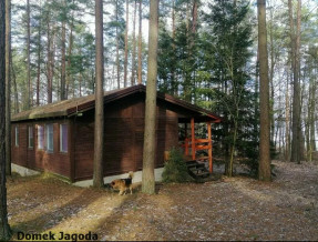 Domki Sasek Mazury  w miejscowości Sasek