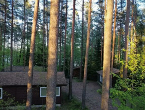 Domki Sasek Mazury  w miejscowości Sasek