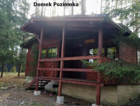 Domki Sasek Mazury  w miejscowości Sasek