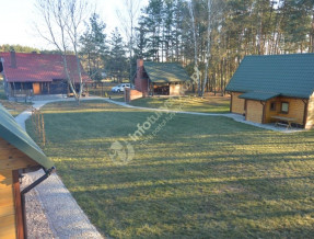 Agroturystyka ŻUBR w Siemianówce w miejscowości Siemianówka