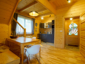 Tatra Wood House w miejscowości Zakopane
