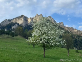 Trzy Korony Apartamenty i Pokoje Gościnne  w miejscowości Sromowce Niżne