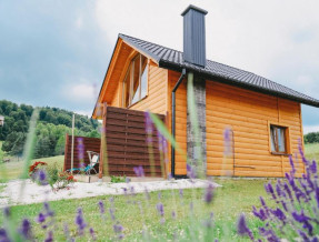 Domki pod Bukowym Lasem  w miejscowości Wańkowa