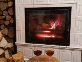 Willa u Siarosia  w miejscowości Kościelisko