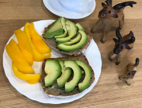 Agroturystyka w Pastwiskach  w miejscowości Pastwiska