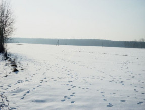 Agroturystyka Czupurek w miejscowości Strawczyn
