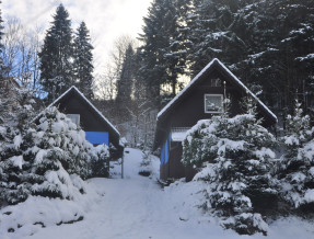 Iskierkówka  w miejscowości Brenna