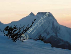 Przewodnik Tomasz Wojciechowski  w miejscowości Zakopane