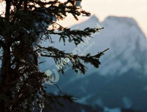 Przewodnik Tomasz Wojciechowski  w miejscowości Zakopane