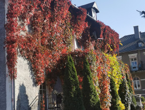 Willa Dorotka - Restauracja Retro Kudowa oraz Bistro za Rogiem  w miejscowości Kudowa-Zdrój