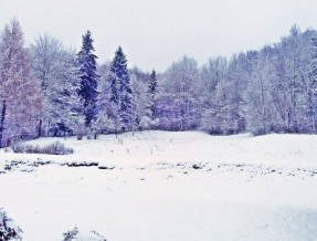 Leśna Przystań w miejscowości Kielczawa