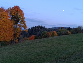 Gospodarstwo Agroturystyczne Zielona Granica  w miejscowości Piwniczna-Zdrój