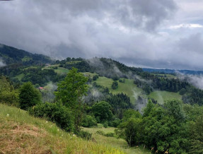 Zielona Granica w miejscowości Piwniczna-Zdrój