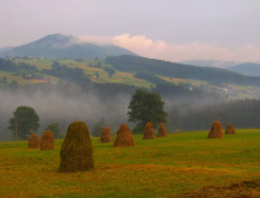 Chaty u Bibra  w miejscowości Soblówka