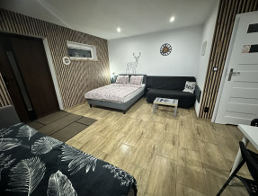 Apartament przy Termach Chochołowskich  w miejscowości Witów