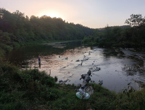 Lisia Polana w miejscowości Czaszyn