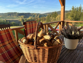 Na Widoku domki Bukowiec  w miejscowości Bukowiec - Bieszczady