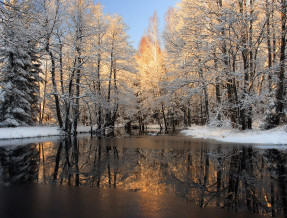 Wiatraki Nature Resort  w miejscowości Marózek