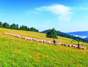 Pokoje u Andrzeja w miejscowości Tylicz