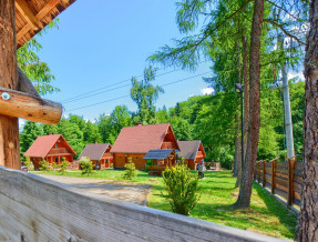 Bieszczady Resort w miejscowości Werlas