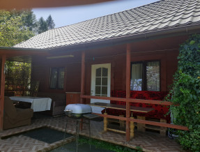 Domki Pod Brzozami w miejscowości Wołkowyja