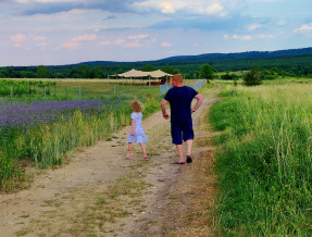 Agroturystyka u Anny w miejscowości Olsztyn