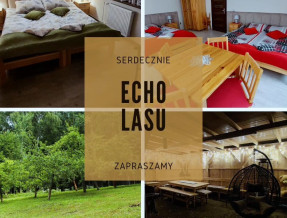 Echo Lasu - Polanica Zdrój  w miejscowości Polanica-Zdrój